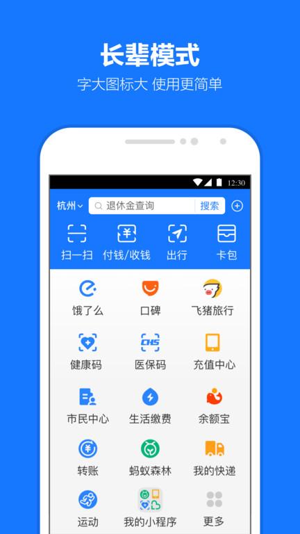 支付宝谷歌版下载,支付宝,支付app